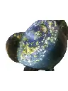Passos de Nanã2.webp
