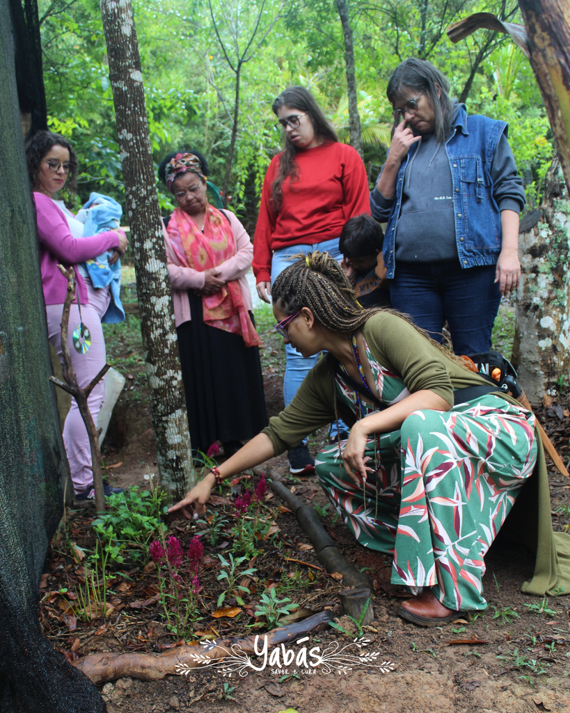 Grupo de Estudos - Solo Vivo - Ori'ri